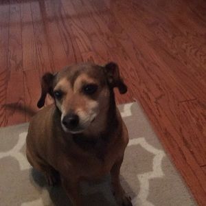 Meet your Posher, Craig